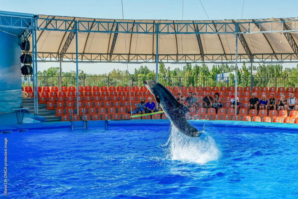 Дельфинарий «Немо» в Бердянске